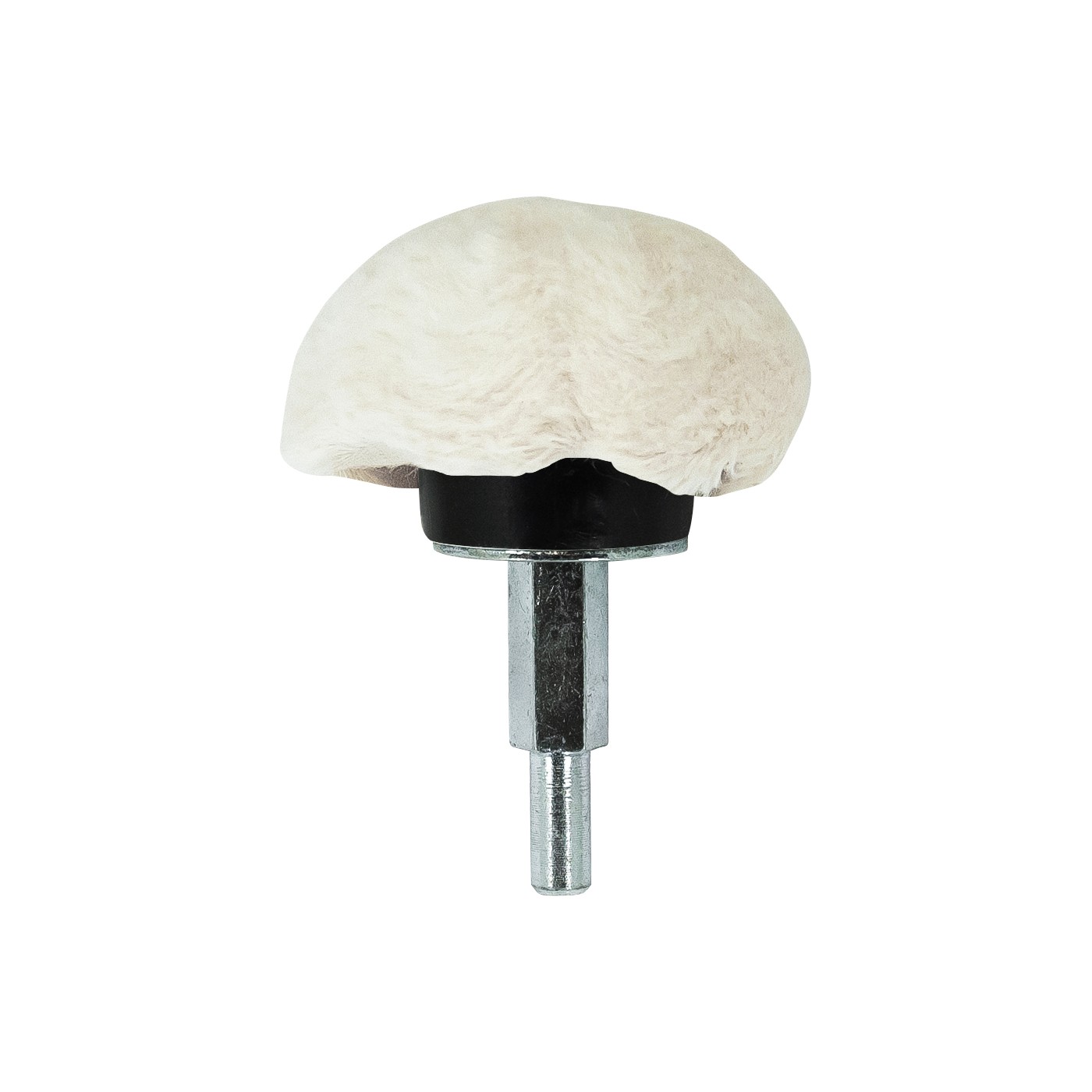 Mushroom Buff - 2"