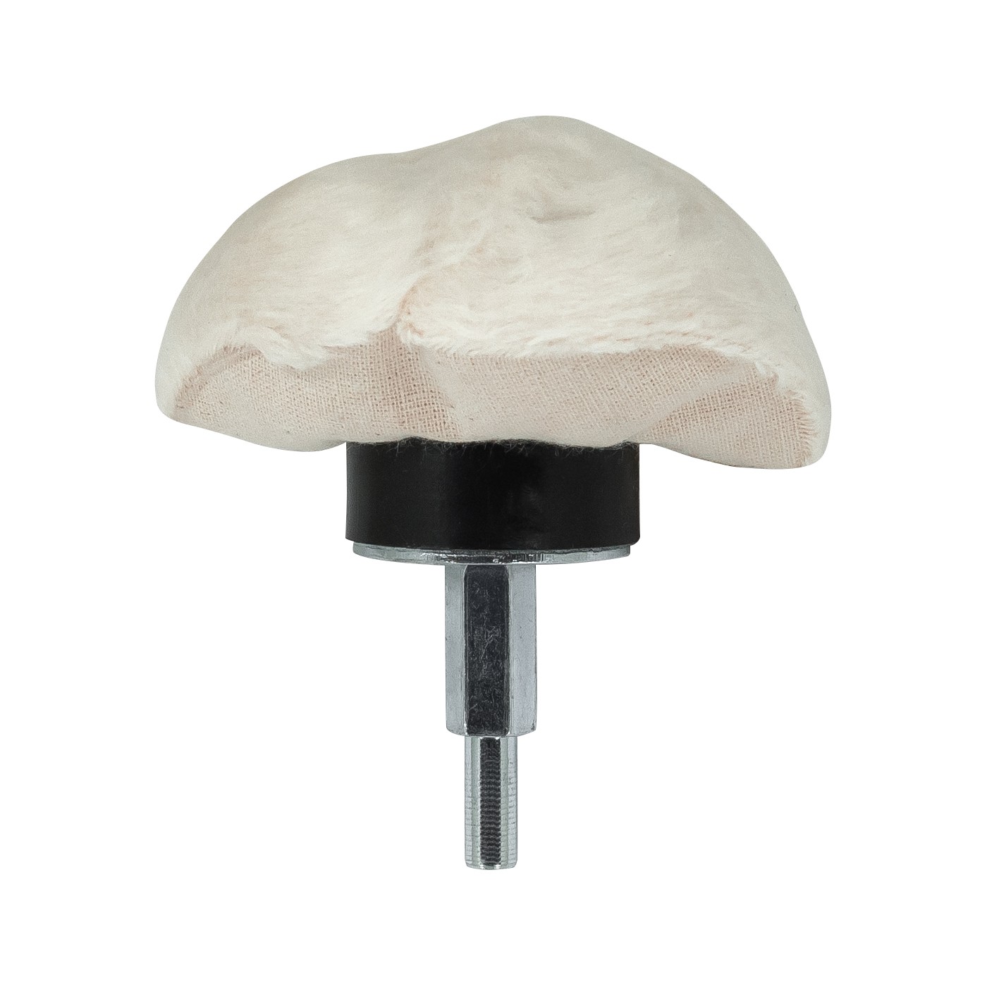 Mushroom Buff - 3"